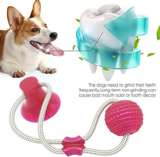 Accesorio para Mascota 20.0
