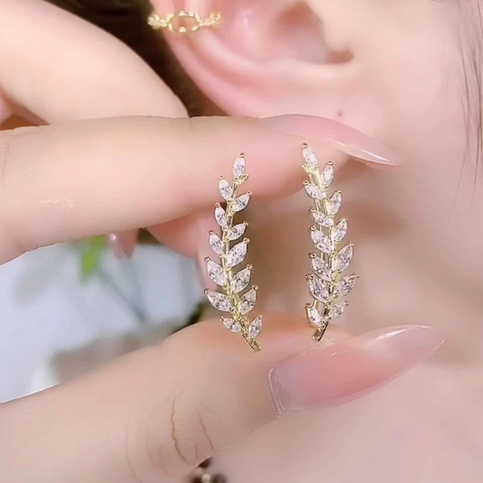 Aretes Goldfield B1