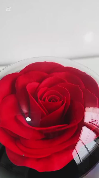 Z- Joyero con Rosa Encapsulada 4.0
